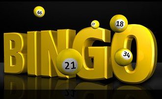 Novità su Bwin: arriva il Bingo Online