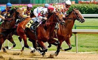 Strategia di trading per corse di cavalli su Betfair