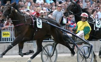 Ippica al Totalizzatore: guida alle scommesse e migliori siti