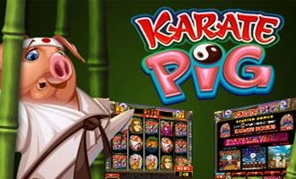 Slot machine Karate Pig: regole, simboli, bonus e free spins!